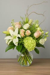 Blushy Surprise Blushy Surprise