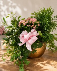 Fancy Dish Garden