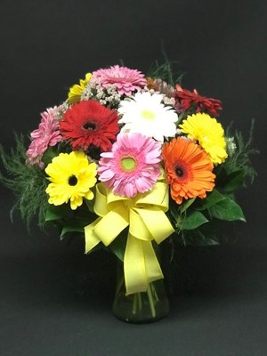 DELUXE GERBERA DAISIES from FlowerCraft in Atlanta, GA