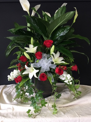 Deluxe Peace Lily from FlowerCraft in Atlanta, GA