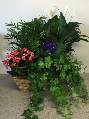 European Garden Basket from FlowerCraft in Atlanta, GA