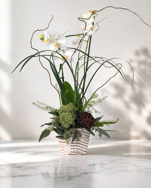 Zen Orchid Harmony from FlowerCraft in Atlanta, GA