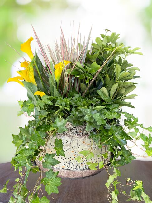 European Garden Basket from FlowerCraft in Atlanta, GA