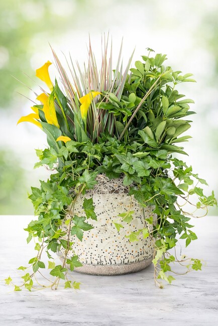 European Garden Basket from FlowerCraft in Atlanta, GA